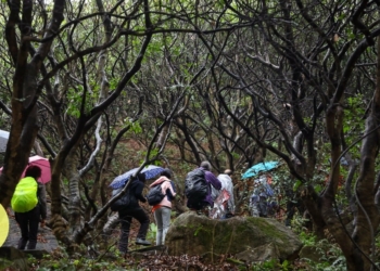 Hong Kong hikers warned to prepare better for expeditions - Travel News, Insights & Resources.