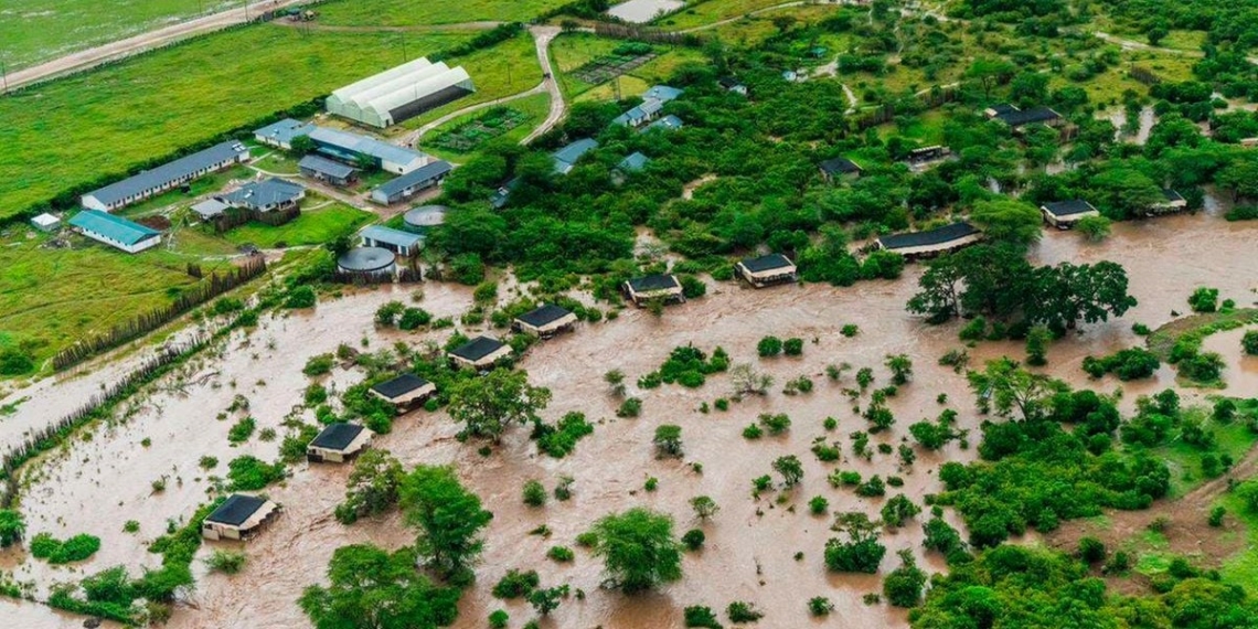 Maasai Mara takes stock of flood damage - Travel News, Insights & Resources.