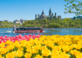 The colourful Canadian event that can rival Keukenhof for beauty - Travel News, Insights & Resources.