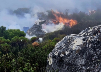 Update Table Mountain fire ‘largely contained - Travel News, Insights & Resources.
