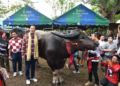 PM opens ‘Thailand Buffalo Heritage event at Ayutthaya Historical Park - Travel News, Insights & Resources.