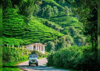 A week long winter vacation guide for Kerala - Travel News, Insights & Resources.