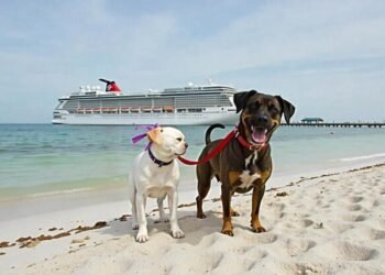 Cruise Tails and Expedia Cruises Launch Luxurious Pet Centric Cruise Adventure - Travel News, Insights & Resources.