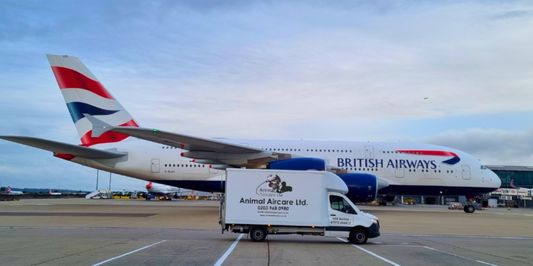 IAG Cargo partners with Animal Aircare on Heathrow animal exports - Travel News, Insights & Resources.