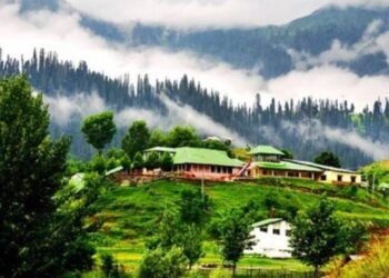 SIFC launches Green Tourism initiative to boost Pakistans global tourism - Travel News, Insights & Resources.