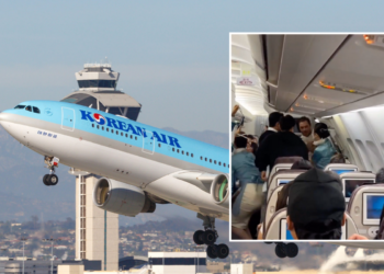 Terrifying Moment Passenger On Korean Air Flight From Bangkok Attempts - Travel News, Insights & Resources.