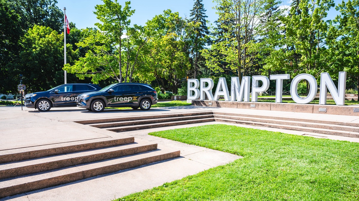 Nigerian corporate travel startup Treepz launches in Canada - Disrupt Africa